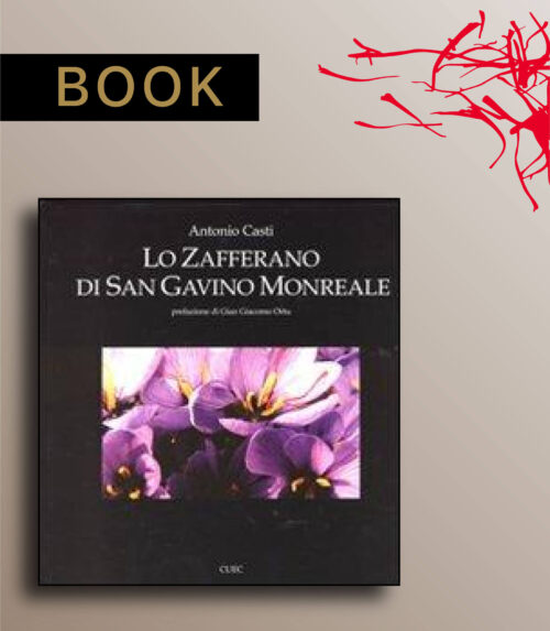 Lo zafferano di San Gavino Monreale di Casti